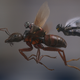Ant-Man and the Wasp, so tiny you couldn’t see them at all during the events of Avengers: Infinity War.